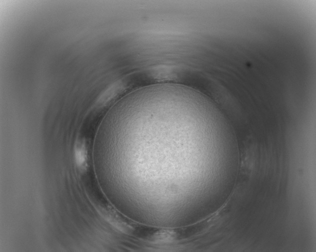 X0000077360124200610271904