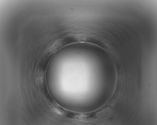 X0000077360125200610271904