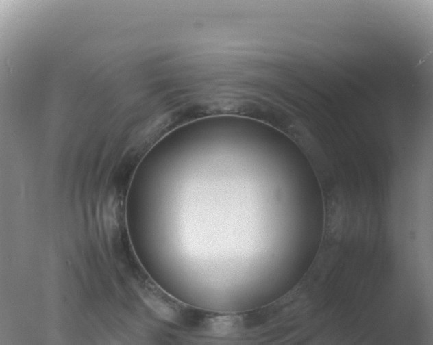 X0000077360126200610271904