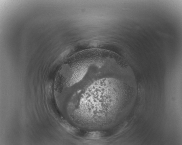 X0000077360127200610271904