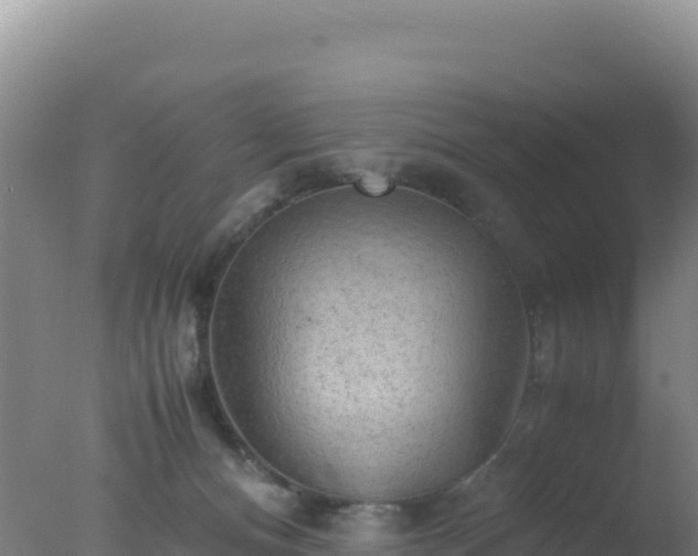 X0000077360128200610271904