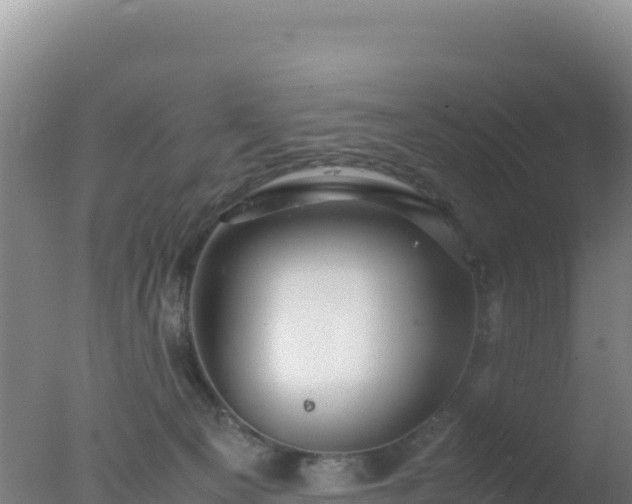 X0000077360129200610271904