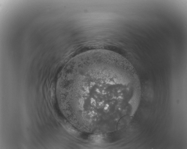 X0000077360131200610271904