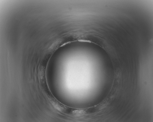 X0000077360133200610271904