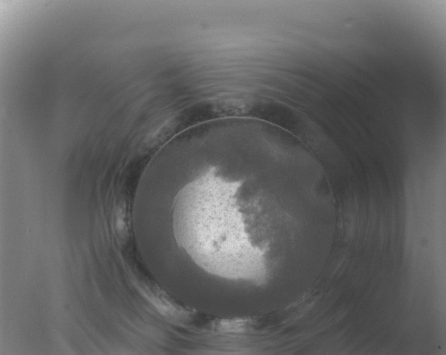 X0000077360134200610271904