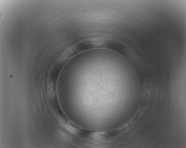 X0000077360136200610271904