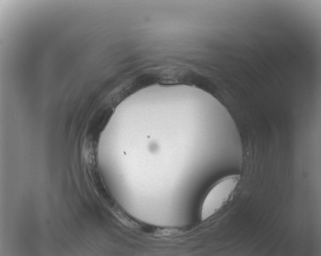 X0000077360137200610271904