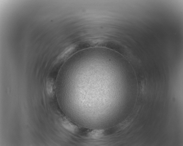 X0000077360138200610271904