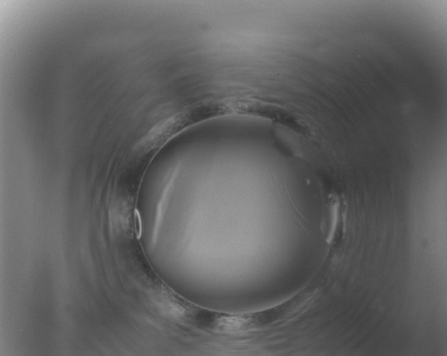 X0000077360139200610271904