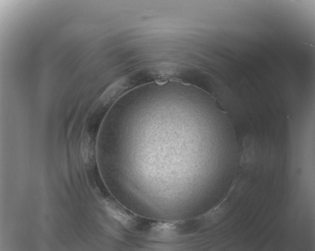 X0000077360140200610271904