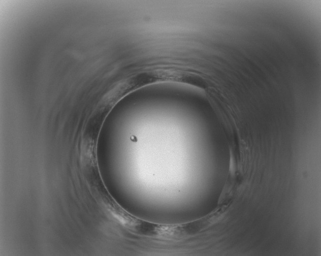 X0000077360141200610271904