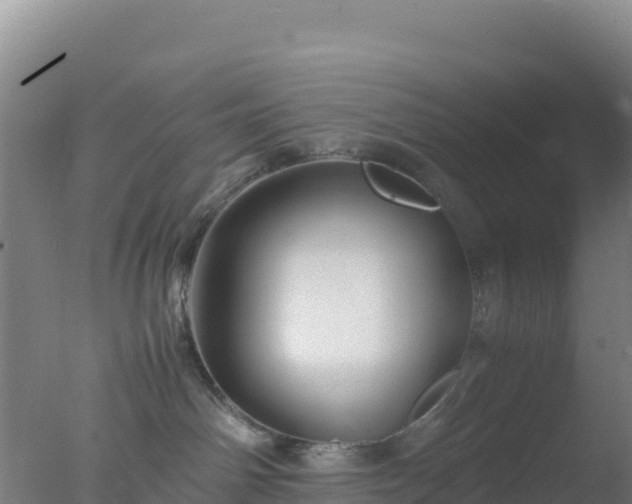 X0000077360142200610271904