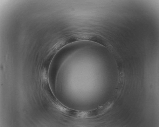 X0000077360143200610271904