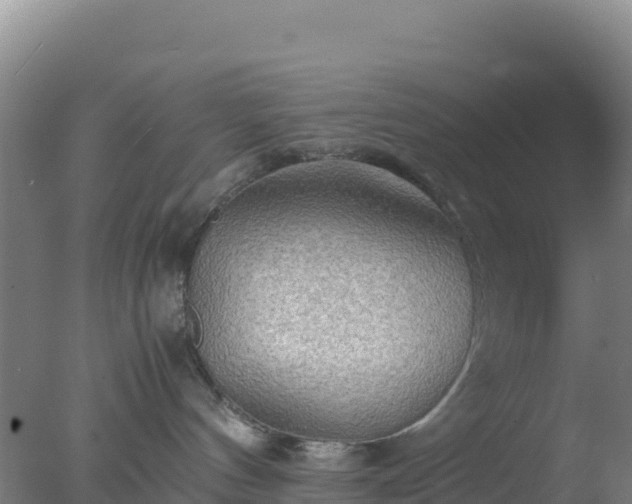 X0000077360144200610271904