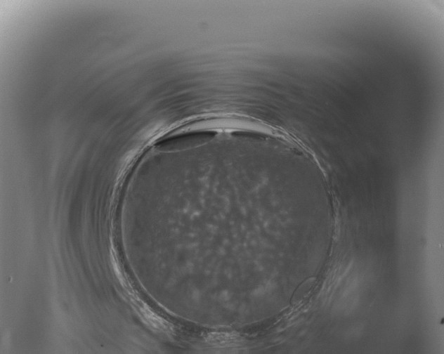 X0000077360145200610271903