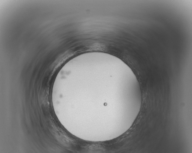 X0000077360146200610271903