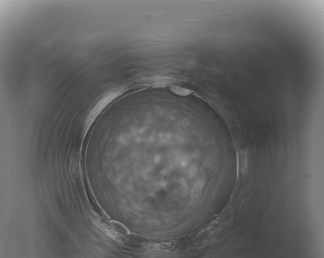 X0000077360147200610271903