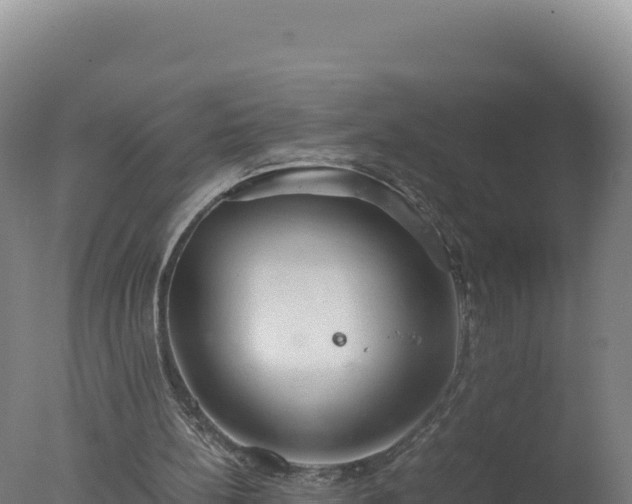 X0000077360148200610271903