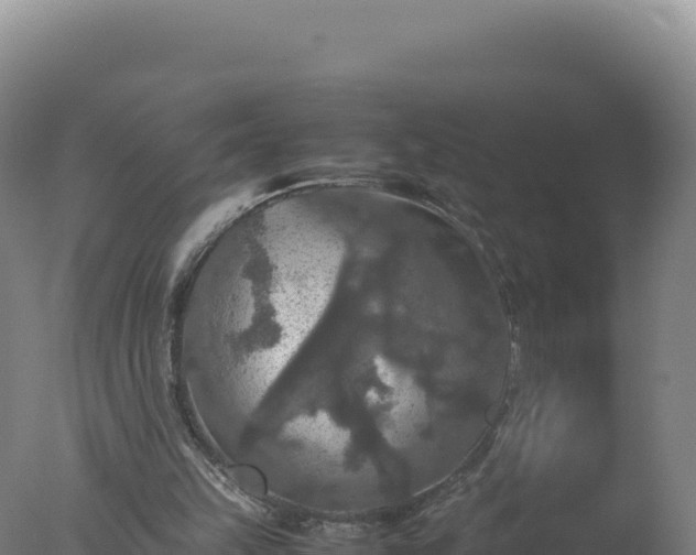 X0000077360149200610271903