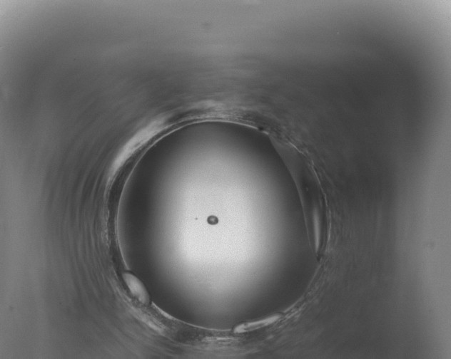 X0000077360150200610271903