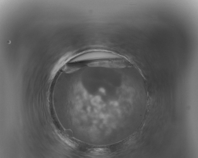 X0000077360151200610271903