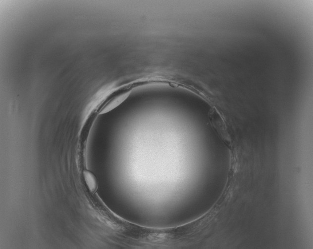 X0000077360152200610271903