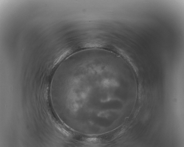 X0000077360153200610271903