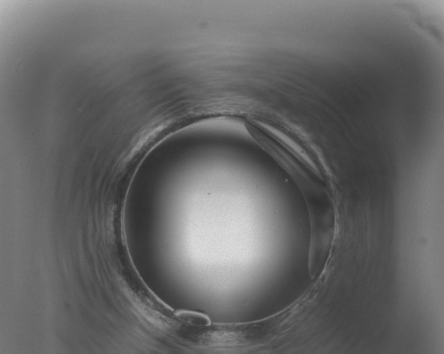 X0000077360154200610271903