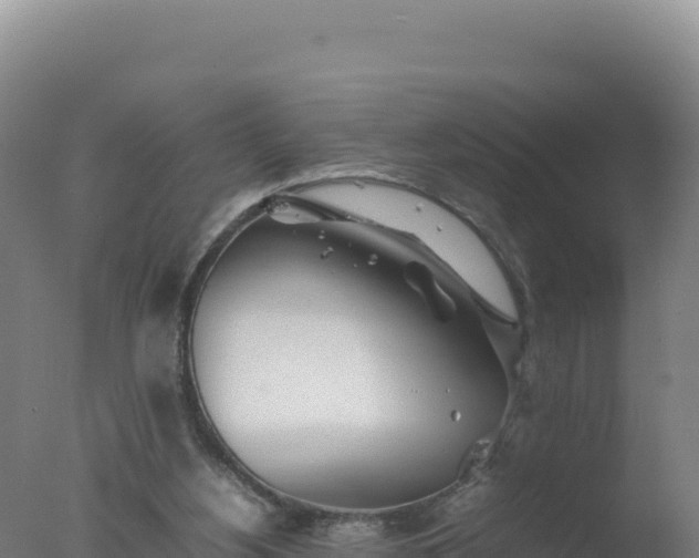 X0000077360156200610271903