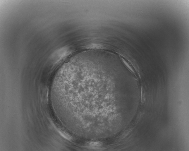 X0000077360157200610271903