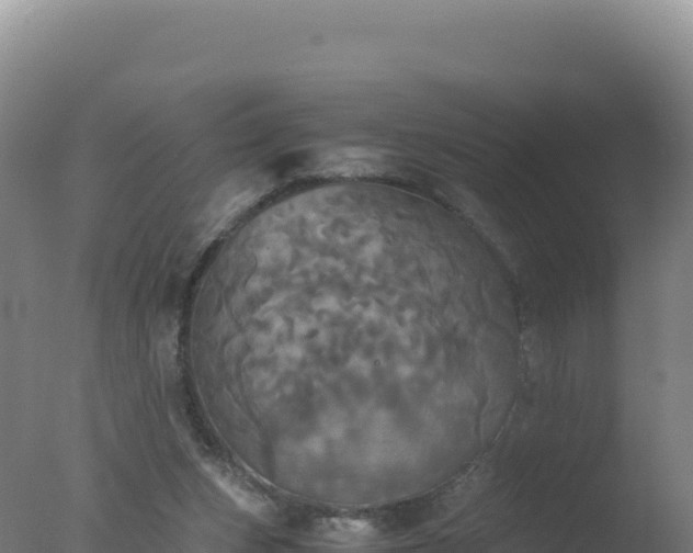 X0000077360159200610271903