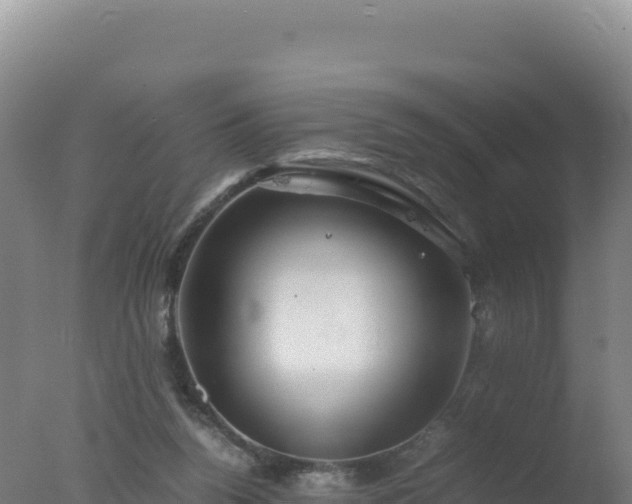 X0000077360160200610271903