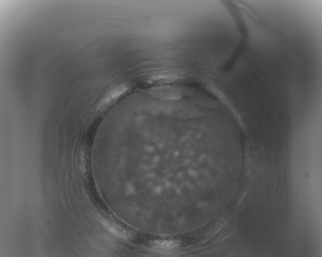 X0000077360161200610271903