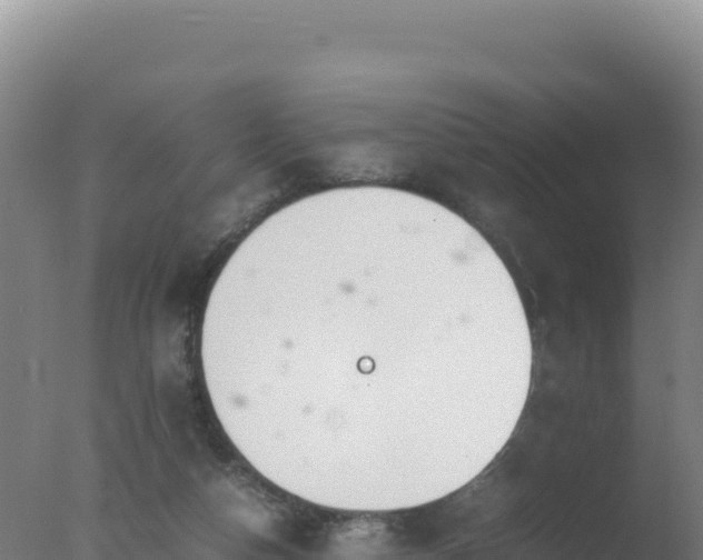 X0000077360162200610271903