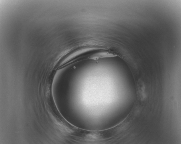 X0000077360164200610271903