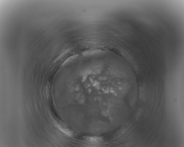 X0000077360165200610271903