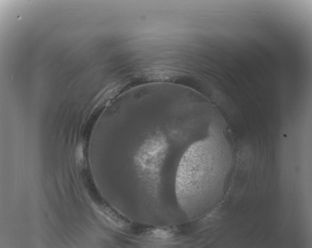 X0000077360166200610271903