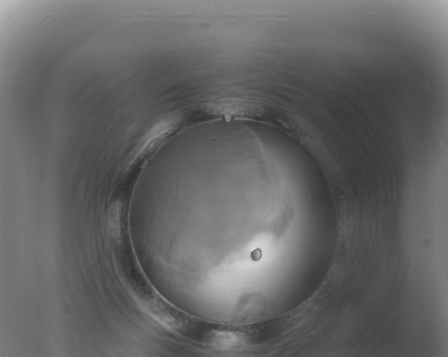 X0000077360167200610271903