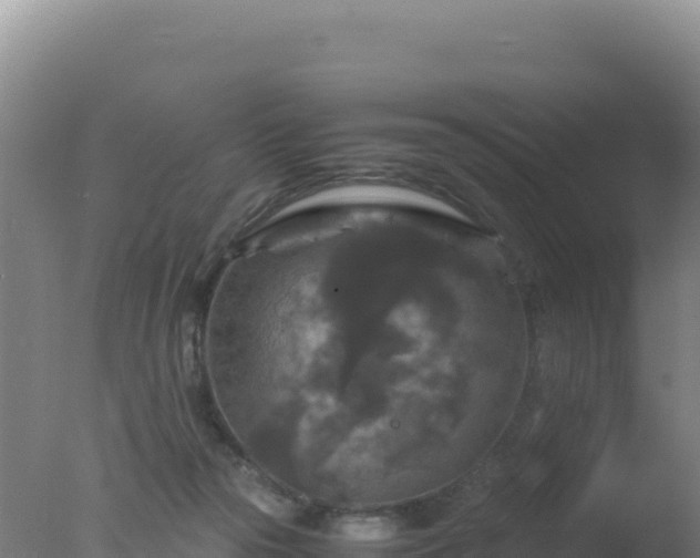 X0000077360169200610271903