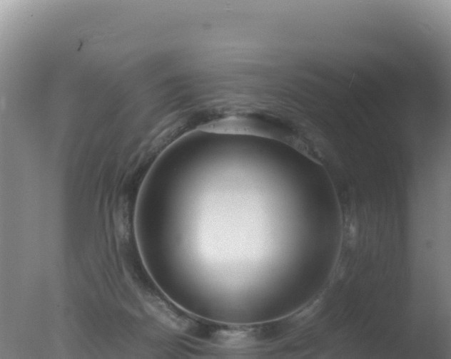 X0000077360170200610271903