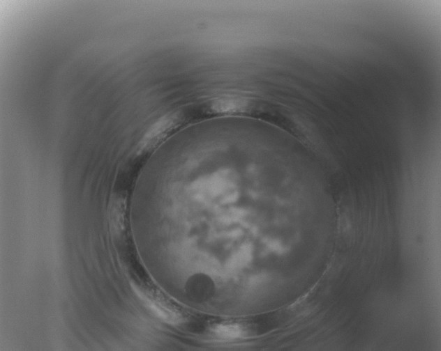 X0000077360171200610271903