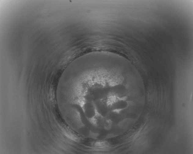 X0000077360173200610271903