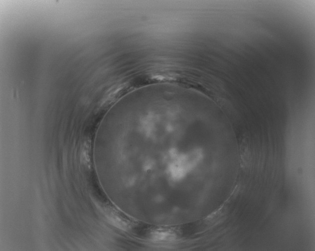 X0000077360175200610271903