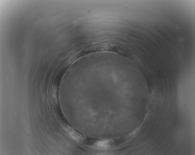 X0000077360178200610271903