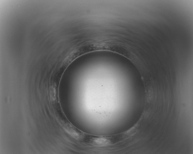 X0000077360183200610271903