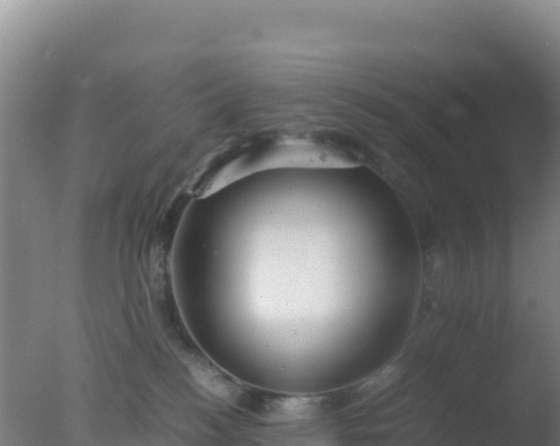 X0000077360184200610271903