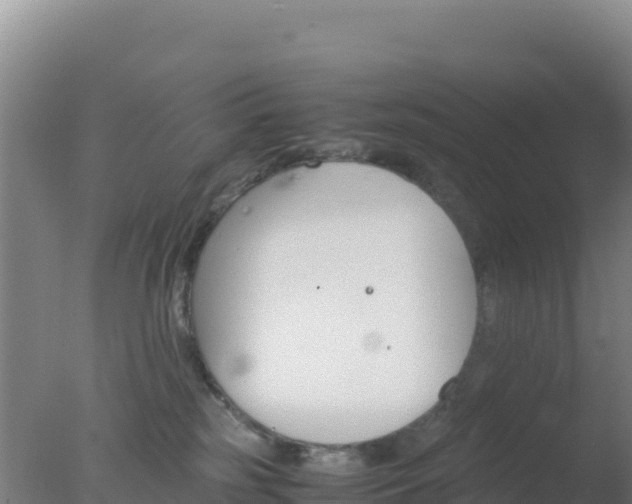 X0000077360185200610271903