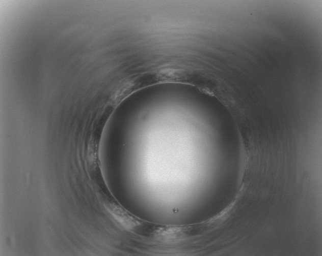 X0000077360186200610271903