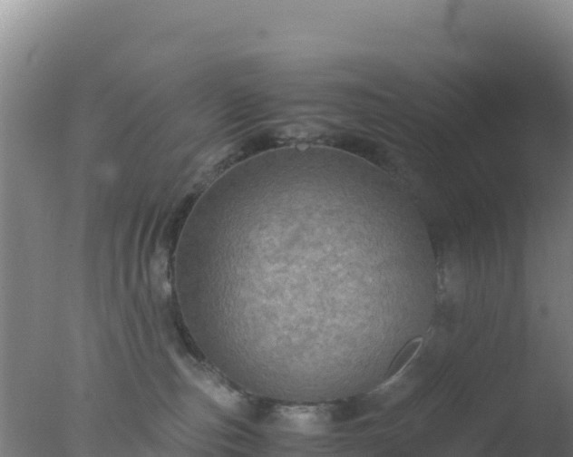 X0000077360187200610271904