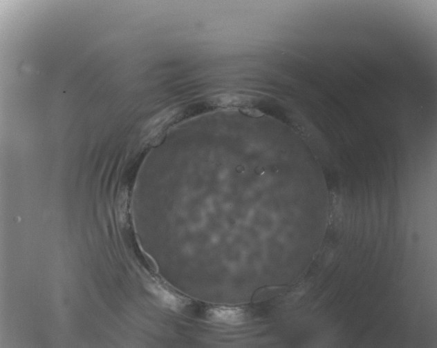 X0000077360189200610271904